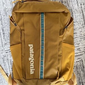 Patagonia Yellow Black Hole Backpack